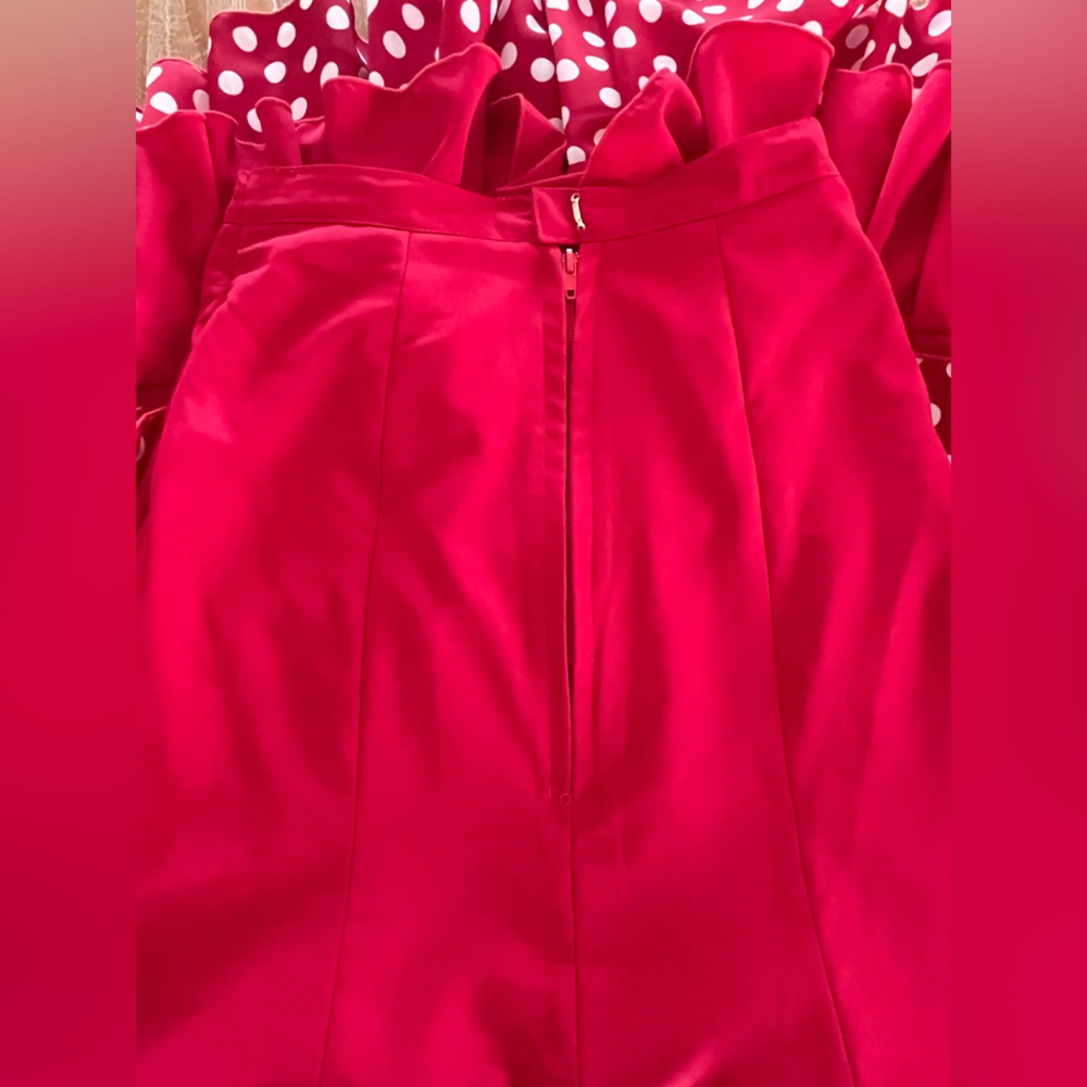 Flamenco Skirt - Picture 5 of 9